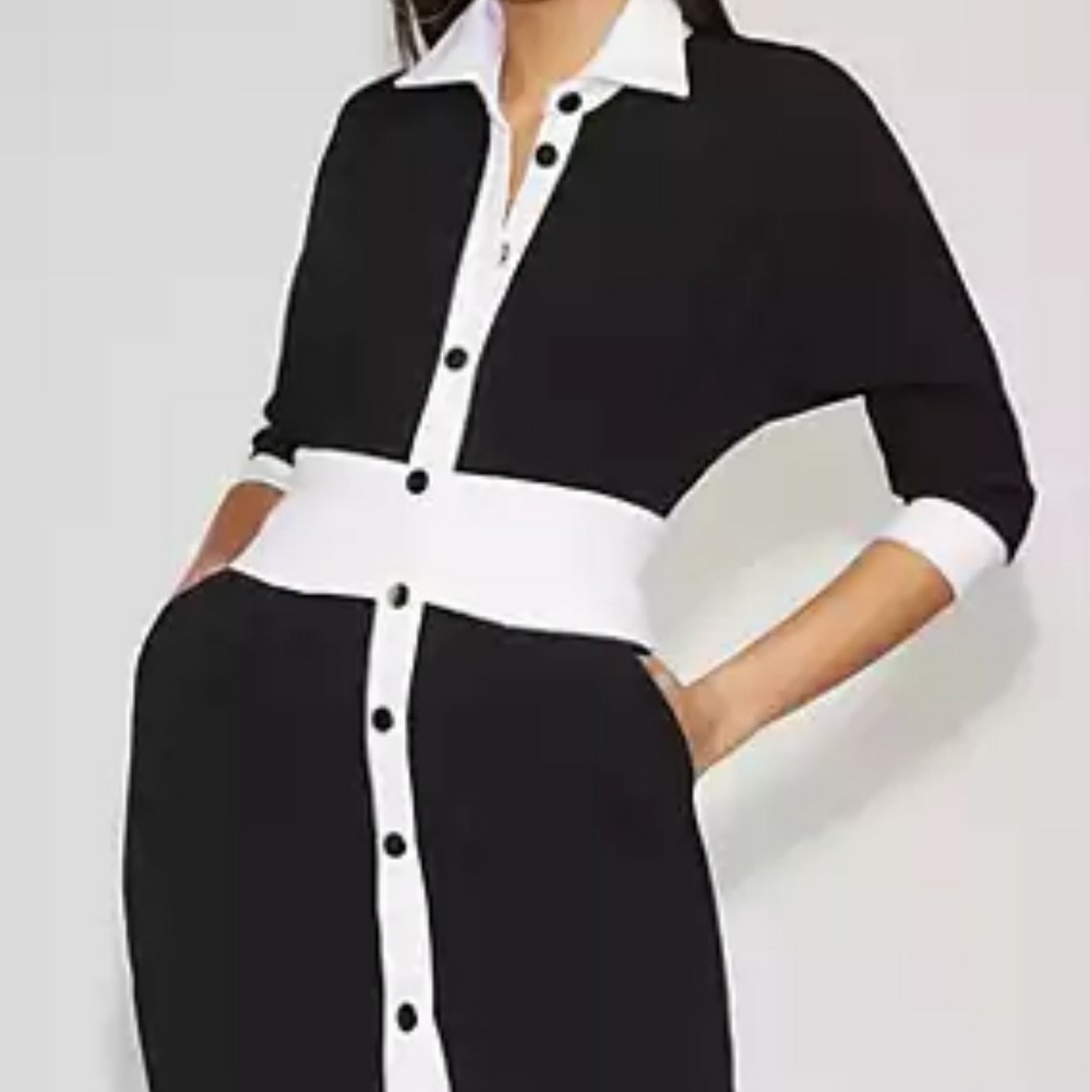 Gabrielle Union Shirt Dress